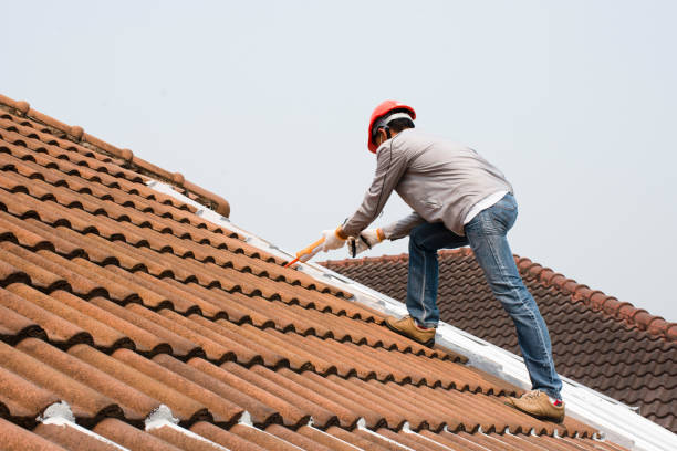 Best Roof Leak Repair  in Richwood, NJ